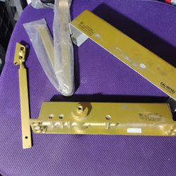 Cal-Royal concealed door closer, specifically a door closer body designed