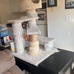 5 Foot Cat Tower 