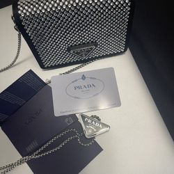 Prada Cardholder/ Concert Purse.