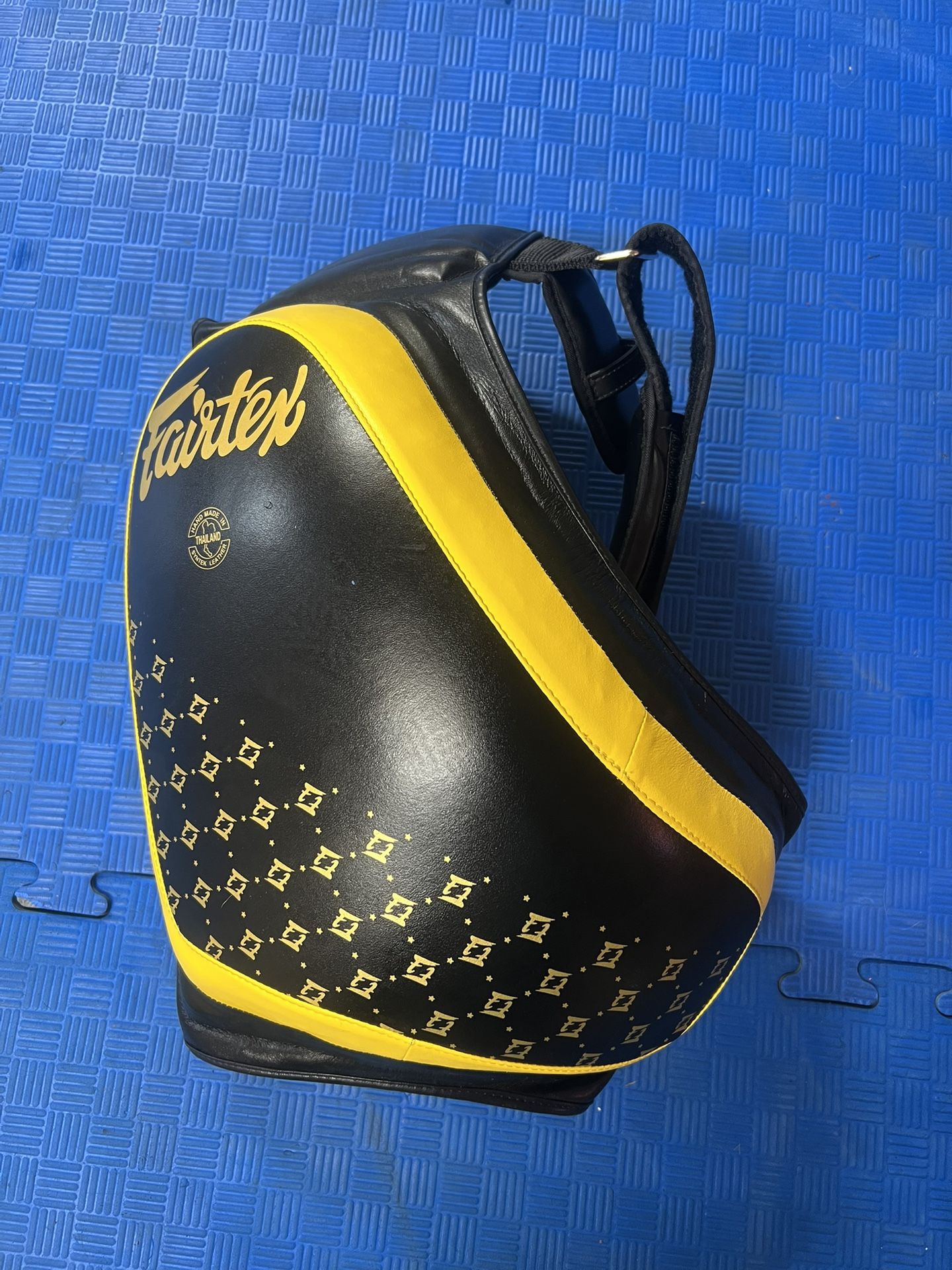 Fairtex Muay Thai Thigh Pad