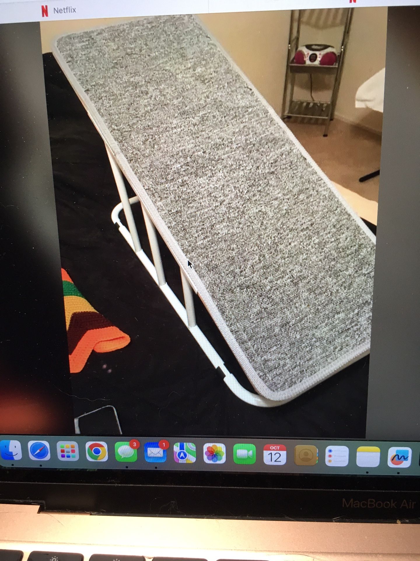 Pet Ramp- Great for Dogs