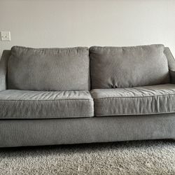 Grey Medium-Large Couch