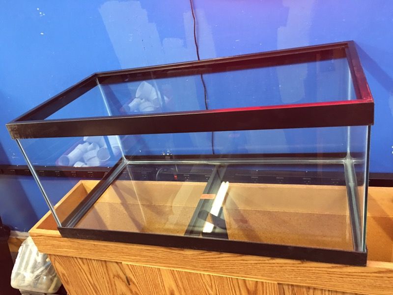 Brand new 40 gallon Breeder Aquarium fish turtle reptile tank $100