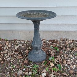 Bird Bath