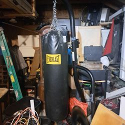 Everlast Punching Bag