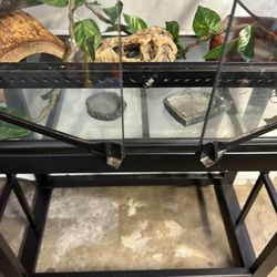 Full Reptile Set-up Tank/Stand/Lights/Decor