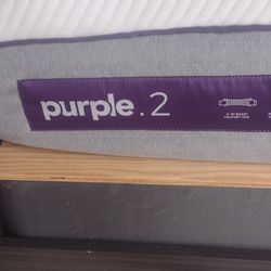 Purple 2 Hybrid Medium/Firm Queen 1 Year Old