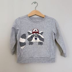 Carter’s Toddler Sweatshirt 3T - Light Gray Crewneck