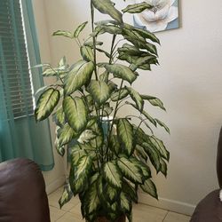 Planta Malanga Artificial