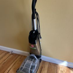 Carpet Cleaner 