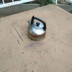 Stainless Steel Tea Kettle