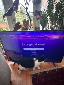 TCL 55” S403 with Roku