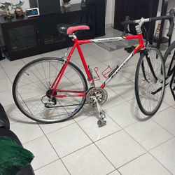 Jamis Road Bike Carbon Fork SIZE 55 cm