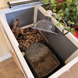Red Foot Turtle Terrarium