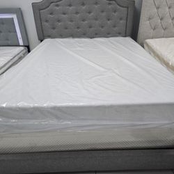New Queen Bedframe 