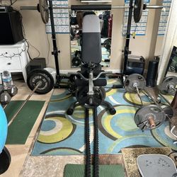 Weights And Bench