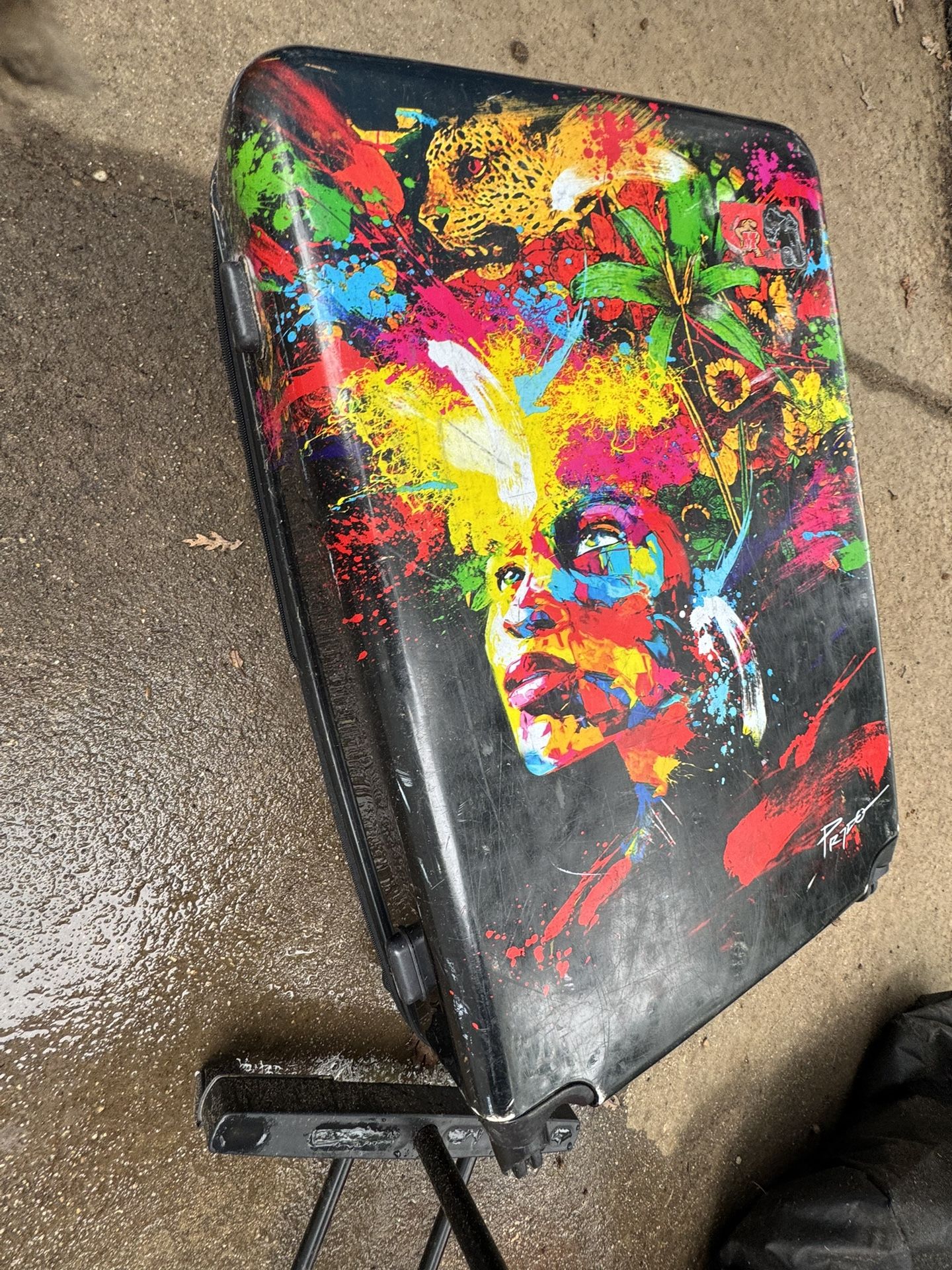 A Big Colorful, Suicase , Very Good To Carry Your Items ( The Holding Hand To Pull Is Broken) ( NO SHIPPING)