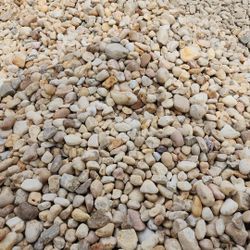 White River Rock - Yard