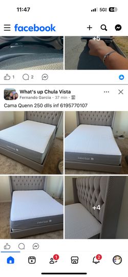 Cama Queen Con Colchón Seminuevo $250, Congelador
