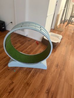 Cat Wheel