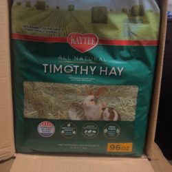 Timothy Hay