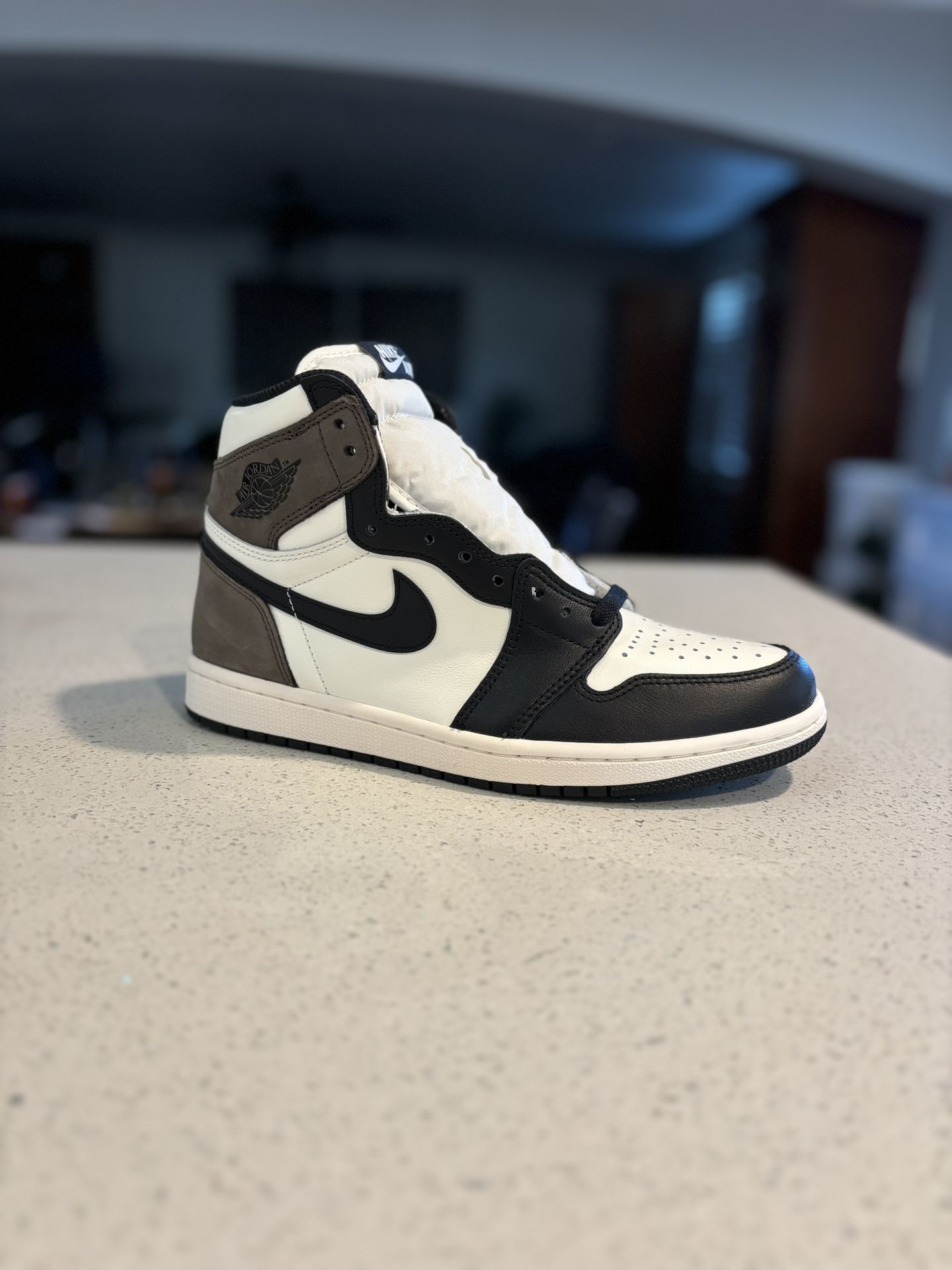 Air Jordan 1 Mocha