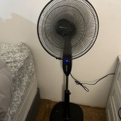 Oscillating Fan
