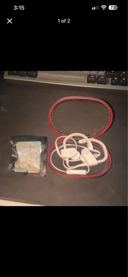 Beats Powerbeats Wireless Earphones with Case