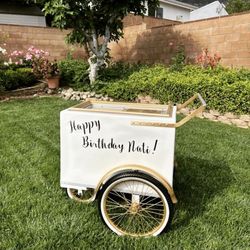 Popsicle Portable Ice Cream Cart For Sale