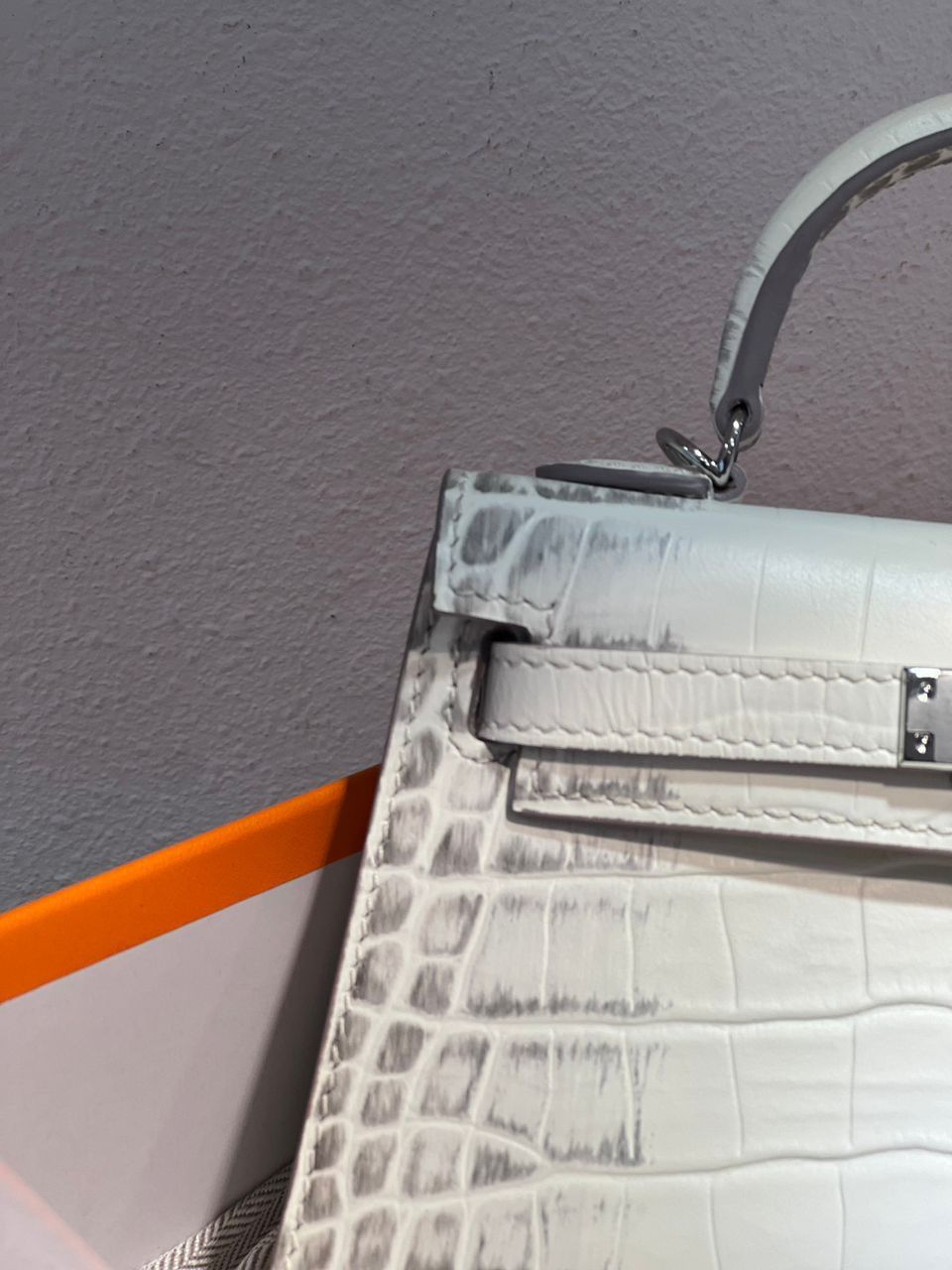 Croc Hermes Birkin Bag