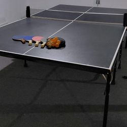 Ping Pong Table 