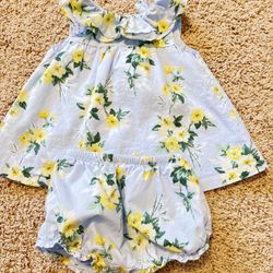 Janie And Jack 12-18M Flower Dress (set)