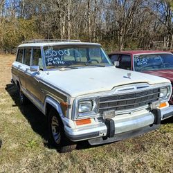 Jeep Grand Wagoneer 81