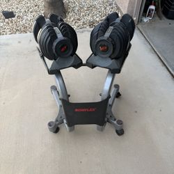 BoFlex Adjustable Dumbbells w/ Stand 