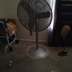 Shop Fan