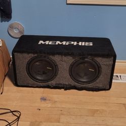 Dual 10 inch subwoofer