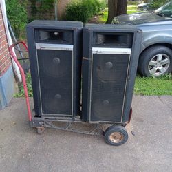 Fender  Amps