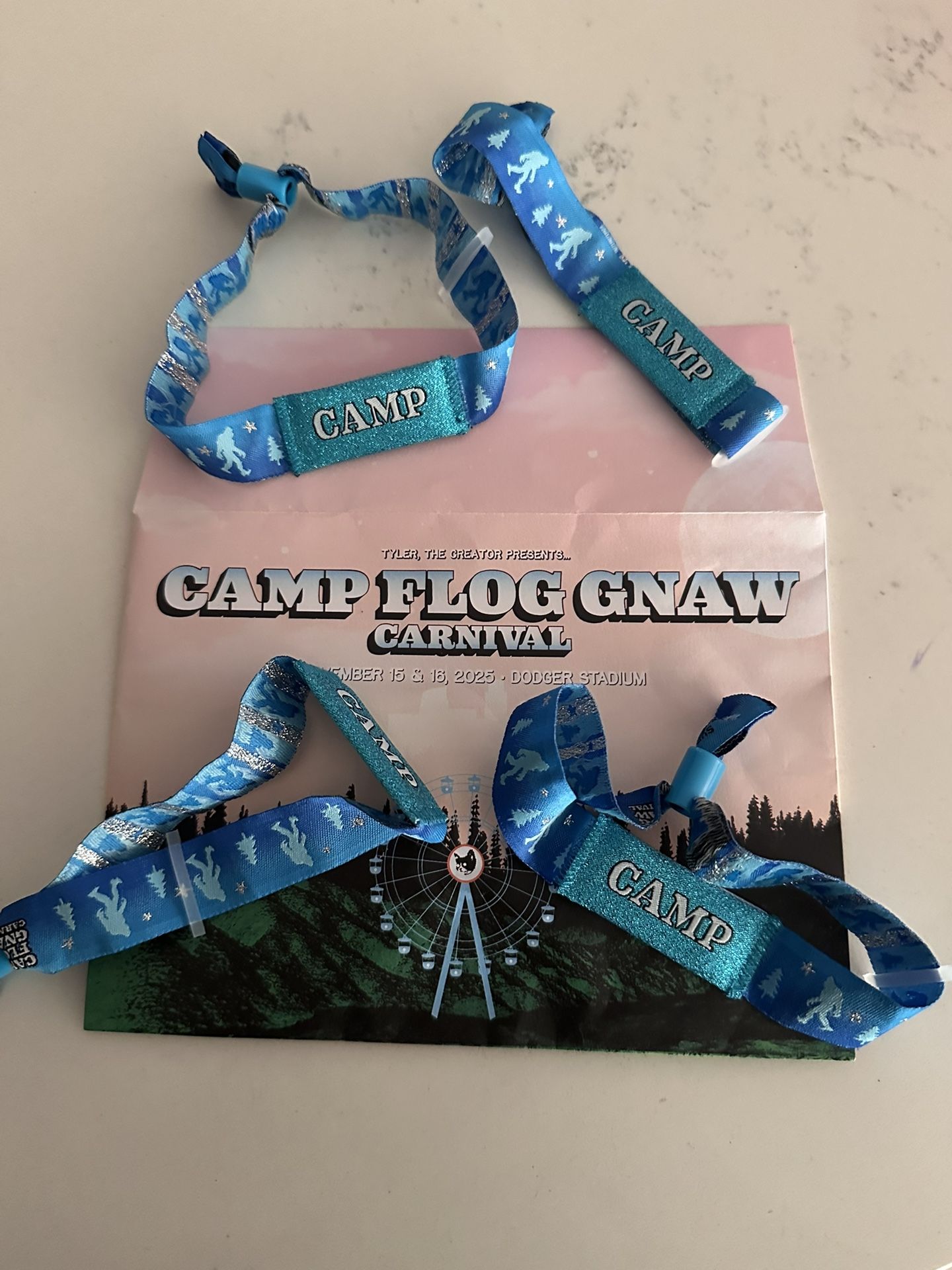 Camp Flog Gnaw Carnival (1 Left) !!!