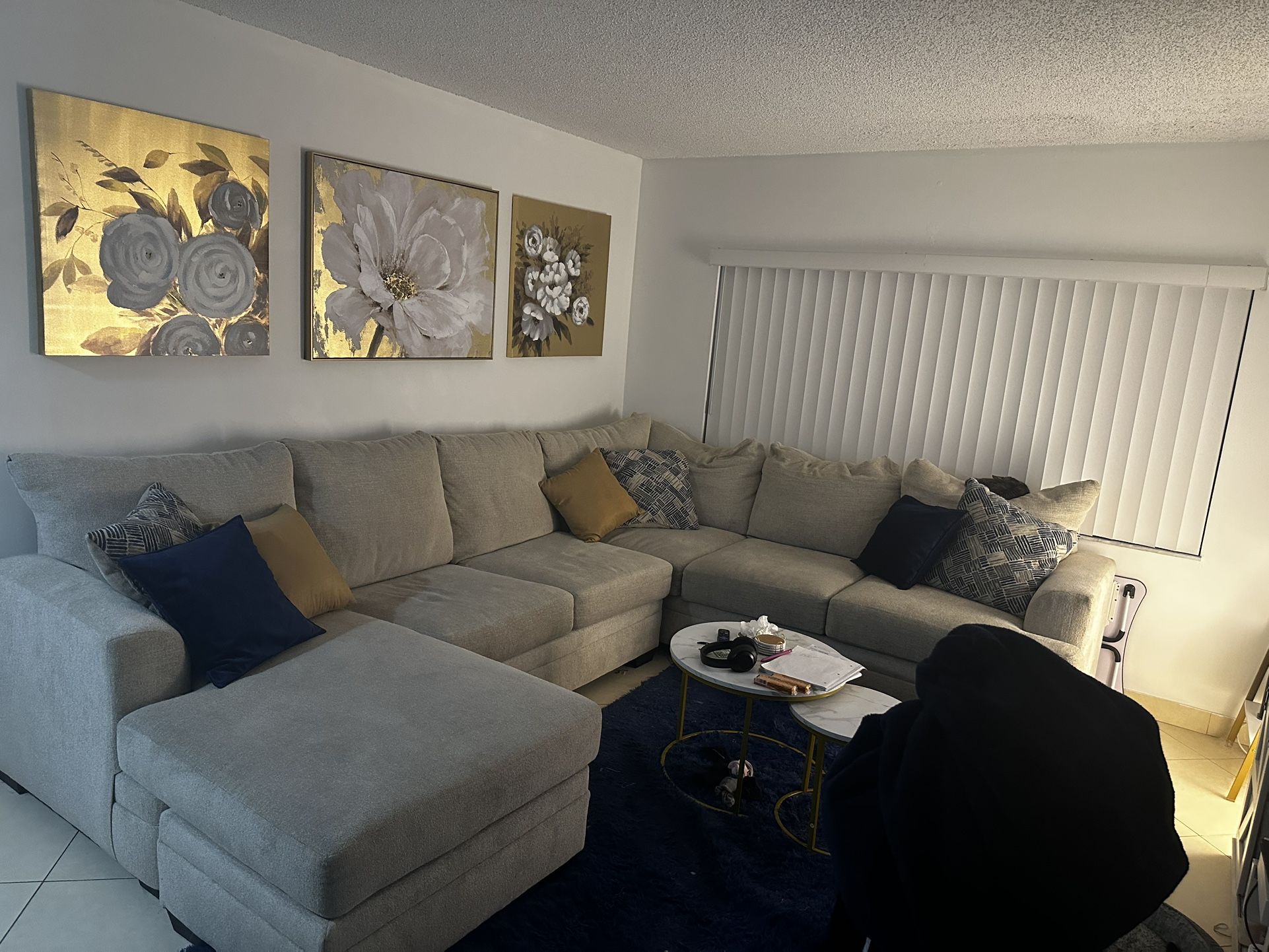 Sectional Couch