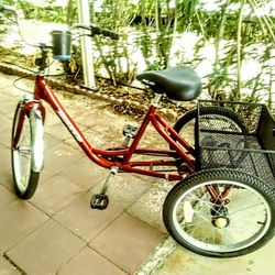 Torker tricycle 2025
