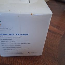 Google Home Mini