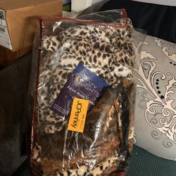 Cozy Night Blanket
