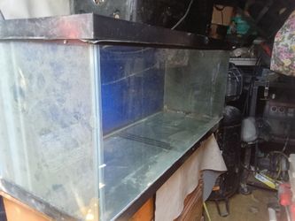 USED Large fish tank