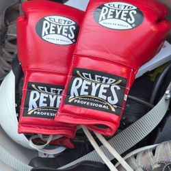 14oz Cleto Reyes Pro Boxing Gloves 