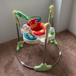 Baby Grew Out Of It Works Good