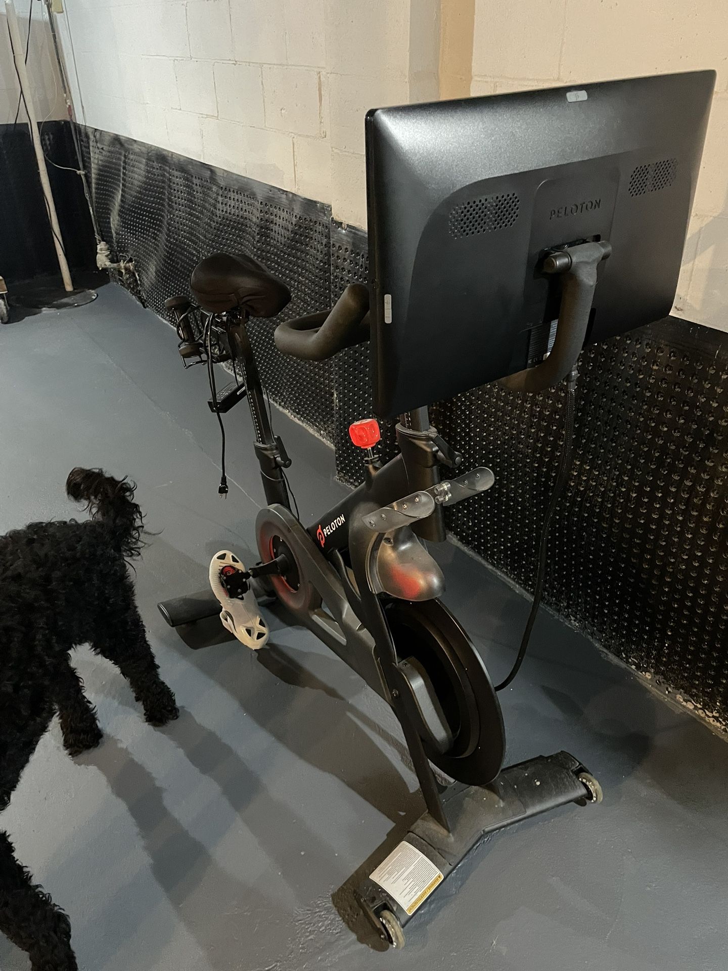 Peleton Bike