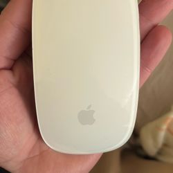Apple Mouse White