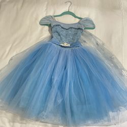 Frozen Elsa Dress Costume Size 4-5 Years 