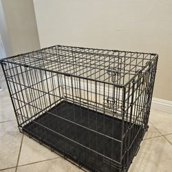 Dog Kennel