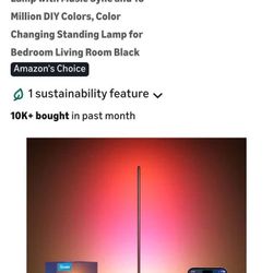 GOVEE RGBIC FLOOR LAMP BASIC